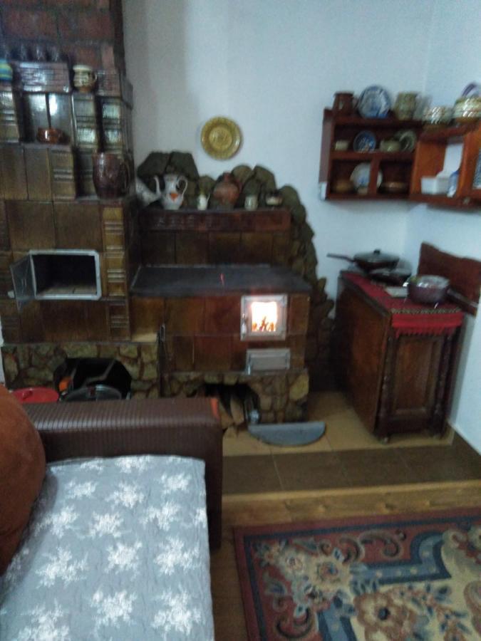 Holiday home Ollie Retezat Riu Barbat