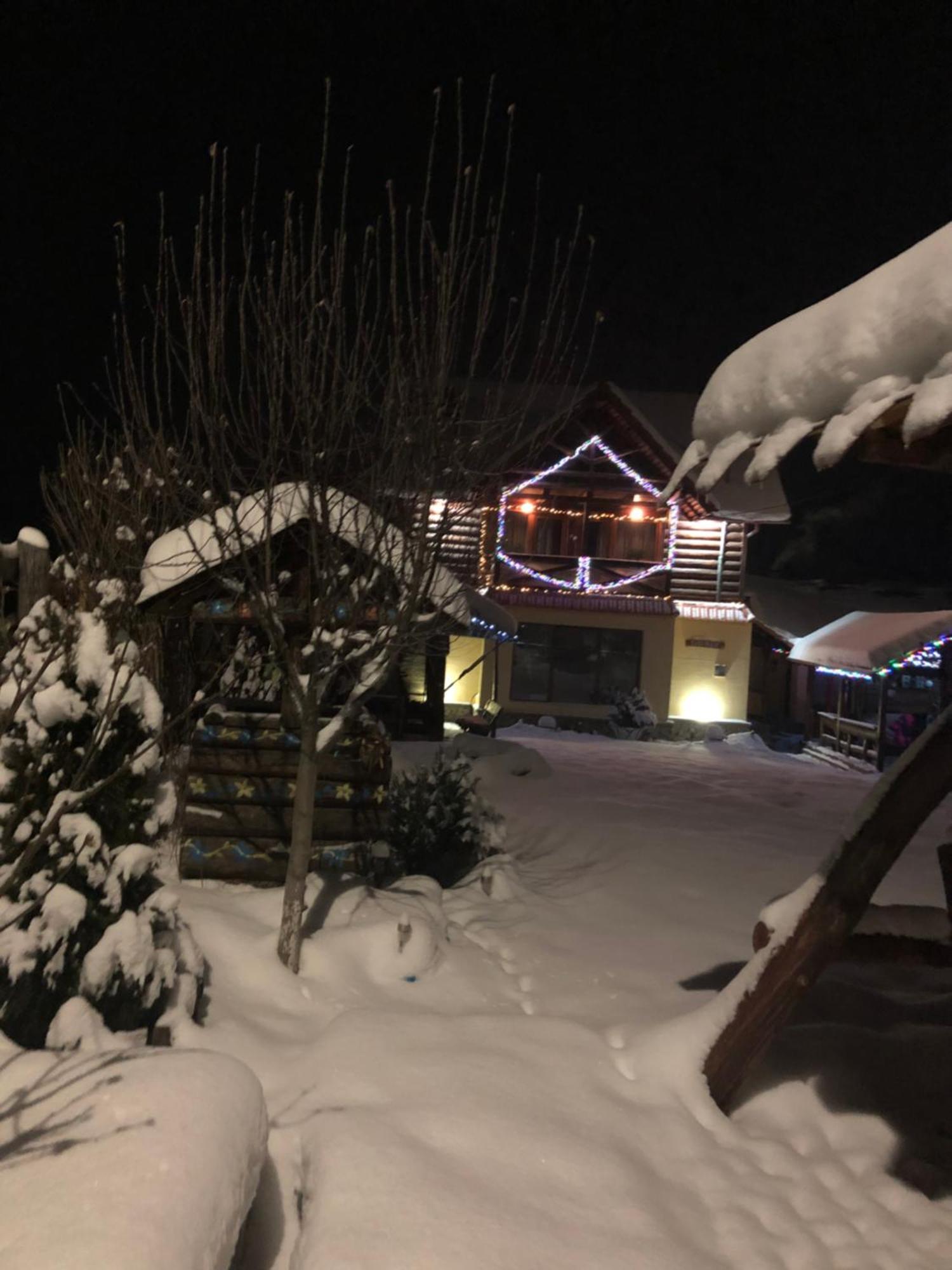 Holiday home Ollie Retezat *