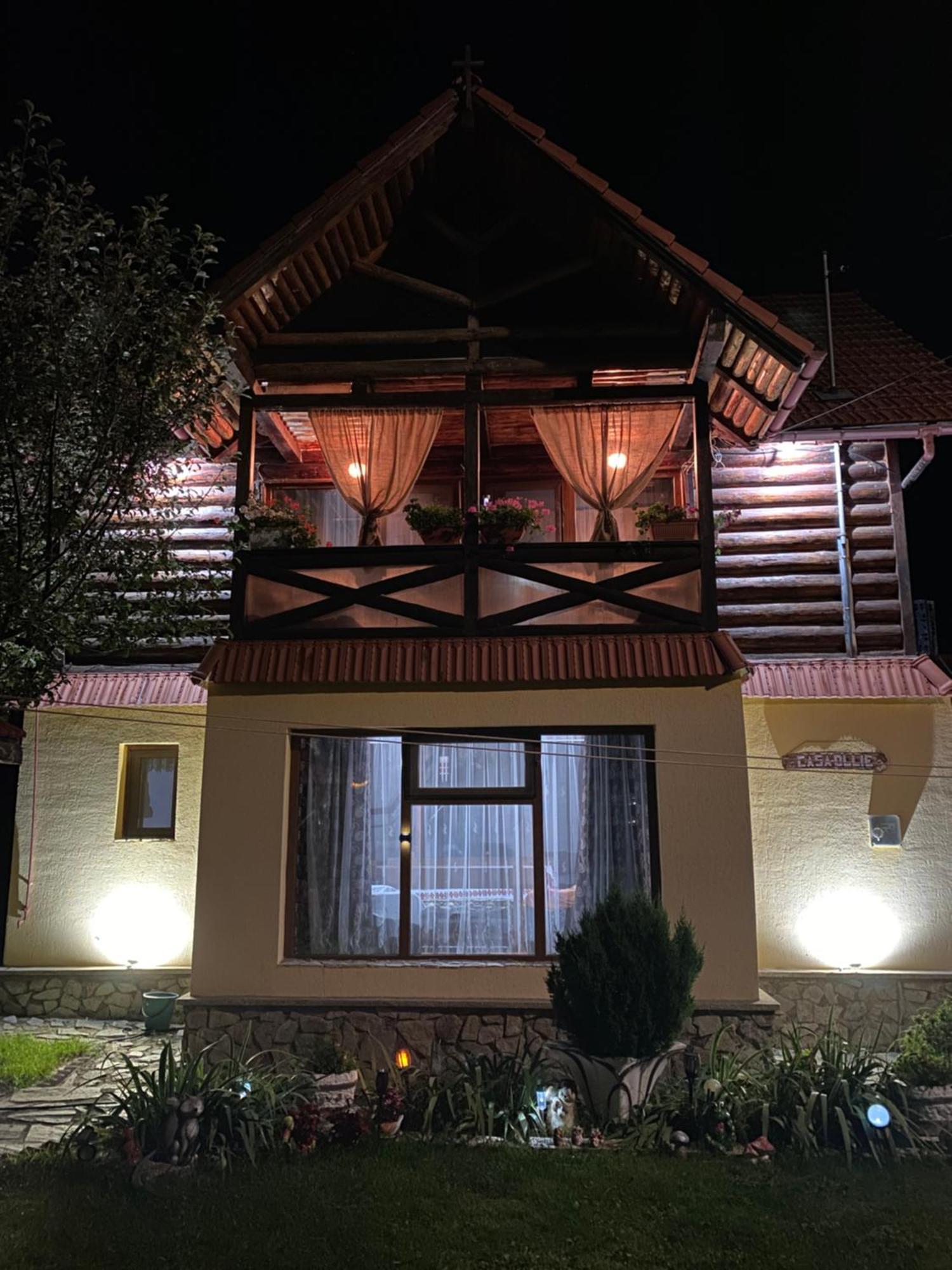 Holiday home Ollie Retezat *