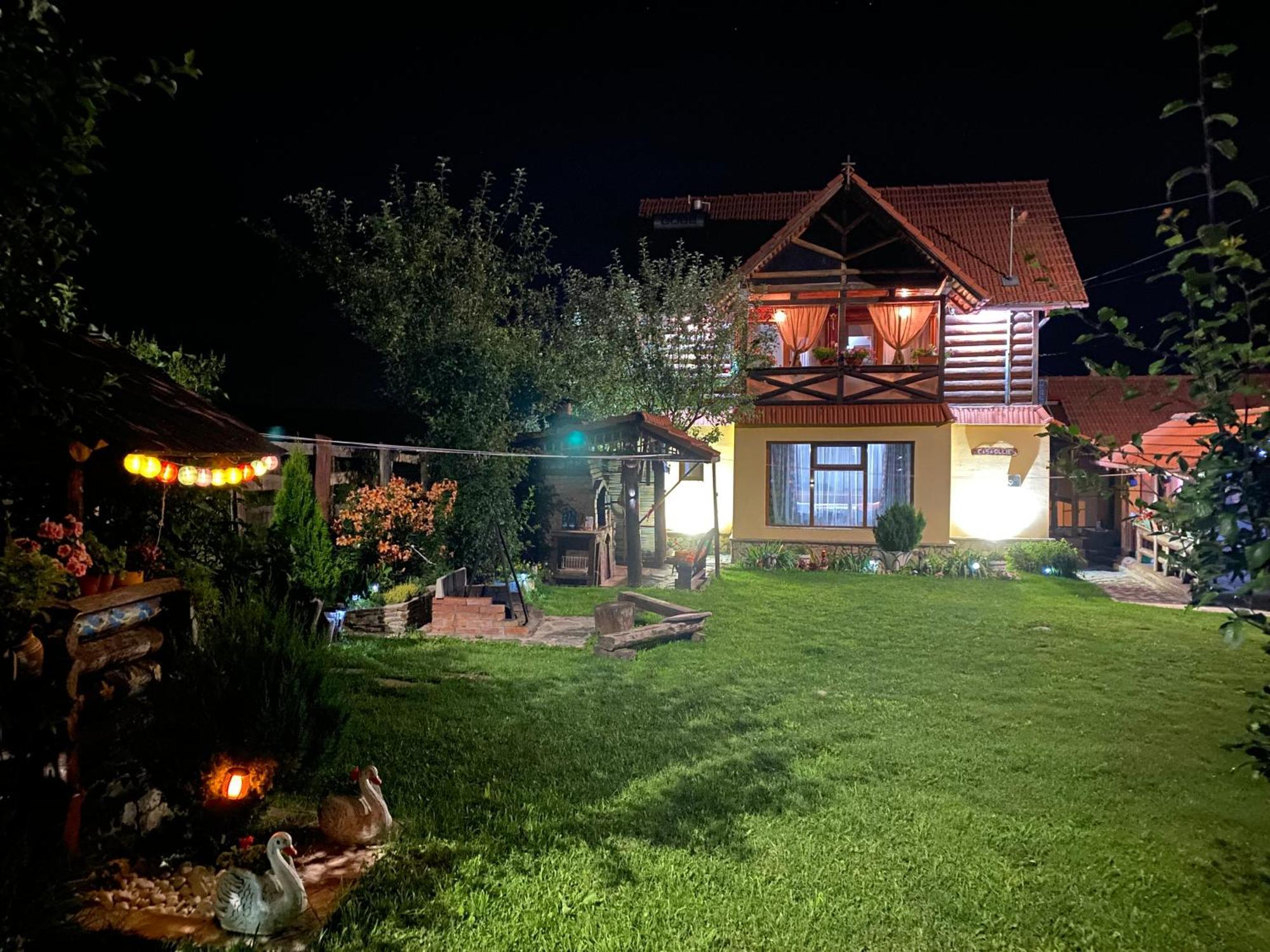 Holiday home Ollie Retezat *