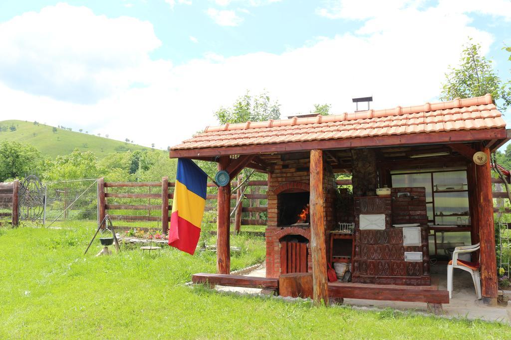 Ollie Retezat Holiday home Riu Barbat