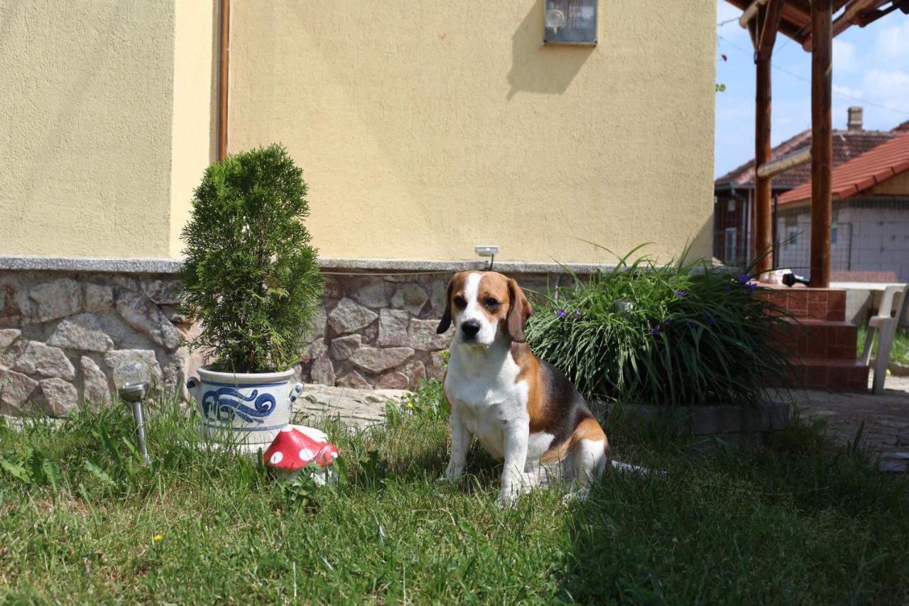 Ollie Retezat Holiday home *